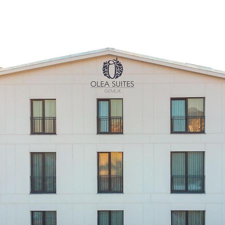 Olea Suites Otel Gemlik ภายนอก รูปภาพ